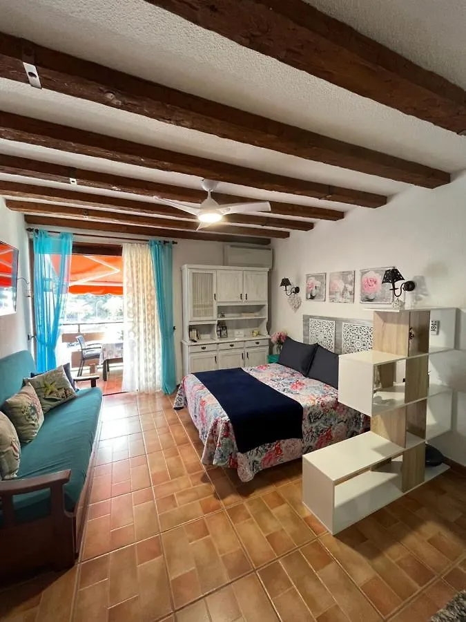 Marine Studio On The Beach Icod De Los Vinos Appartement